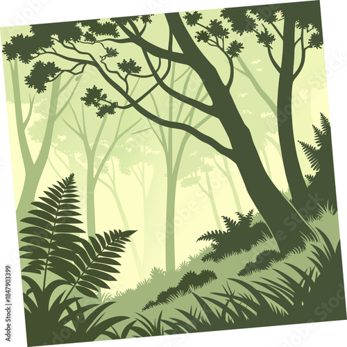 Green forest with trees and ferns on a hillside