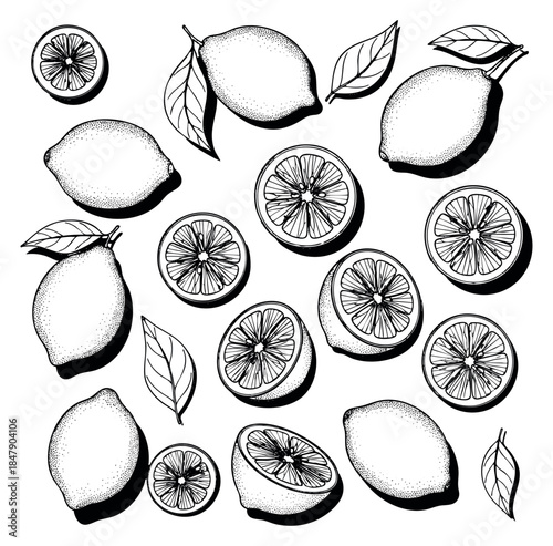 Vintage lemon icon set with whole lemons sliced lemons and leaves black and white line art