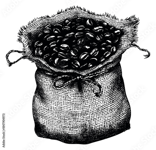 Vintage coffee bean sack with beans hand drawn sketch
