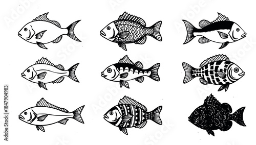 Black and white fish icon set with simple and ornate patterns minimal flat vector