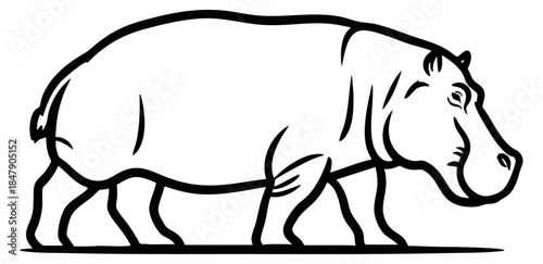 Hippopotamus animal black and white line art
