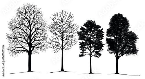Black tree silhouette set with bare and leafy branches minimalist flat vector