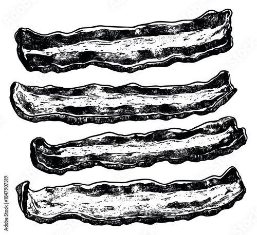 Vintage bacon strip set with four pieces hand drawn sketch