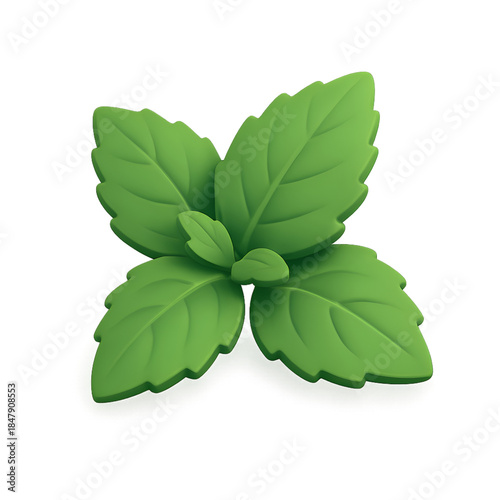 A stylized 3D rendering of fresh basil or mint leaves isolated on a clean white background. Perfect for digital projects.