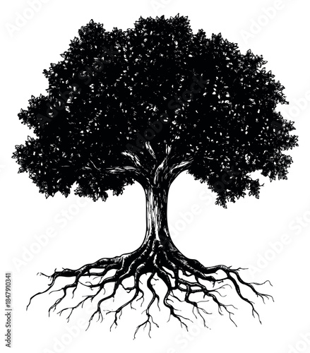 Detailed tree illustration with roots hand drawn sketch