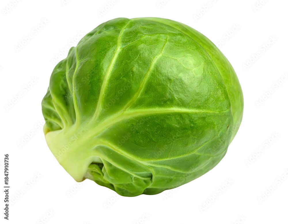 Fototapeta premium Fresh Green Brussels Sprouts on transparent background