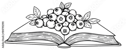 Vintage open book illustration with blueberries and leaves hand drawn outline illustration