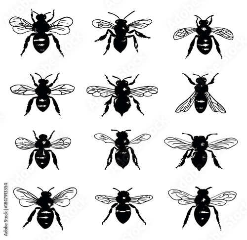 Black bee icon set with wings and antennae black and white line art