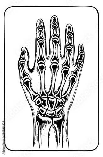 Hand skeleton icon with wrist bones hand drawn outline illustration