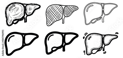Liver icon set with six black and white outline styles
