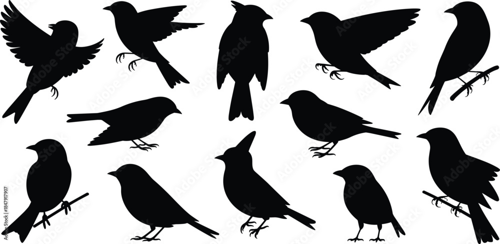 Obraz premium Assortment of Bird Silhouettes in Various Poses on White Background Keywords: bird, birds, silhouette, animal, wildlife, nature