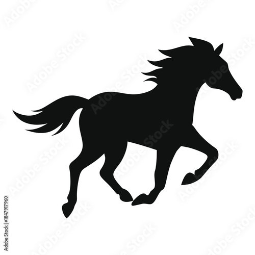 horse silhouette isolated on white
