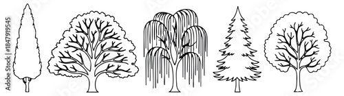 Tree icon set with willow, pine, oak and cypress black and white line art