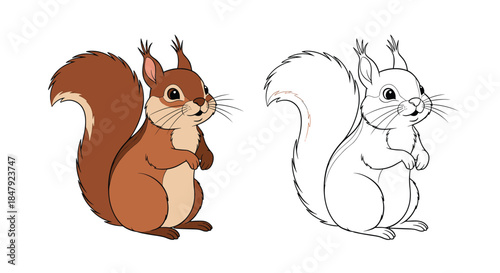 Adorable brown squirrel with a big fluffy tail standing on its hind legs, shown in full color and as a line art outline.