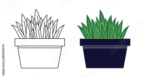 Simple illustration of a potted plant with green grass, shown as a black and white outline and a filled color version for design.