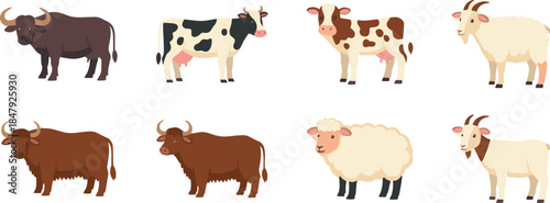 Farm animals cartoon illustrations set