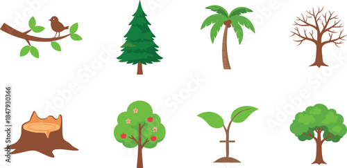 Tree and plant illustrations set