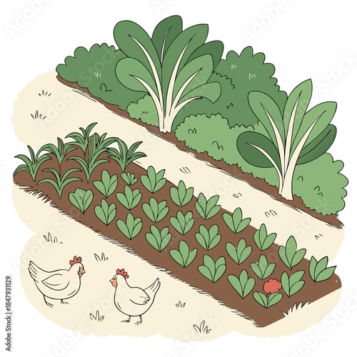 Cartoon garden with chickens and leafy greens vegetables