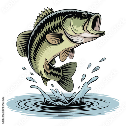 A hand-drawn illustration of a largemouth bass seemingly leaping out of the water, its mouth closed and lips raised as if kissing, a white background.