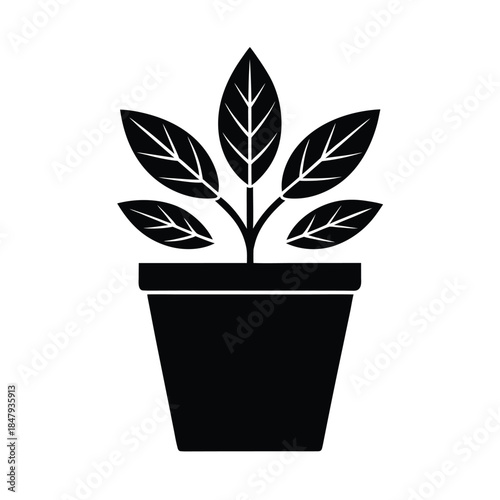 Plant Pot Home Gardening Icon