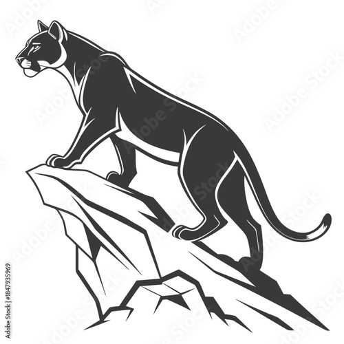 vector animal image free download 