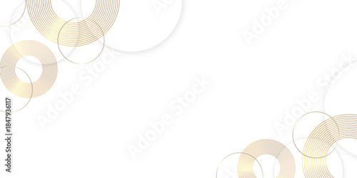 modern white and gray circle gradient trendy background. Grey abstract background geometry circle, diagonal line and layer element Vector for business, corporate presentation design  web template.
