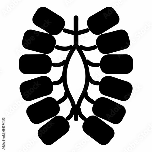 Abstract representation of a rib cage and spine in minimalist style
