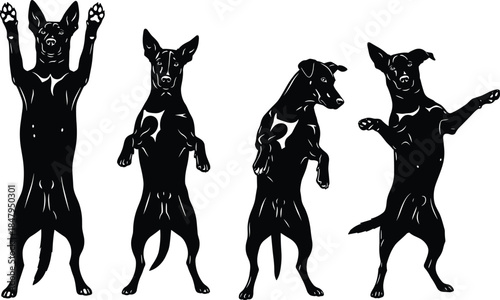 Set of four active dog silhouettes vector illustration, standing on hind legs in various playful and begging poses, representing pet obedience, training, 