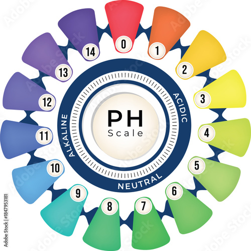 Circular pH Scale Diagram for Chemistry and Science Education