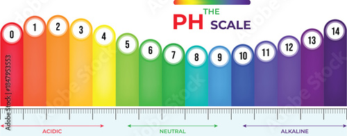 pH Scale Understanding Acidity, Neutrality, and Alkalinity