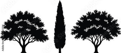 Silhouette set of three tree types including broadleaf and conical evergreen shapes for forest, nature, and landscape illustration design