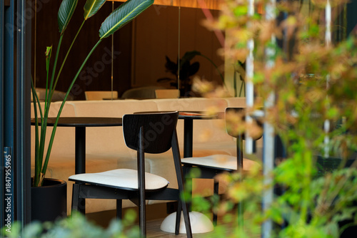 warm light interior cafe third wave design style without people in this space and decorative elements mirror plants object