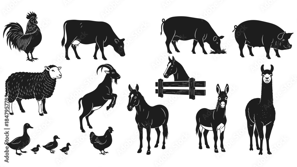 Obraz premium Collection of farm animals and poultry silhouettes rooster, cow, sheep, goat, pig, horse, donkey, llama, ducklings, chicken