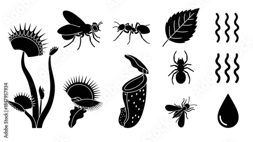Set of black silhouette icons carnivorous plants, insects, spider, leaf, water droplets, and wavy lines for design elements