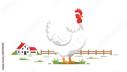 A fluffy white chicken stands proudly in a rural farm setting with a small house and wooden fence in the background.