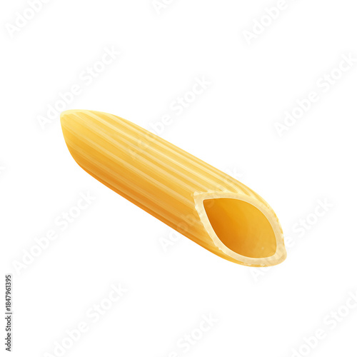Single Uncooked Penne Pasta Tube Isolated