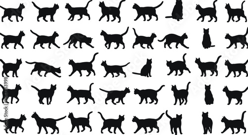Silhouette Collection Of Cats In Different Poses And Actions felines