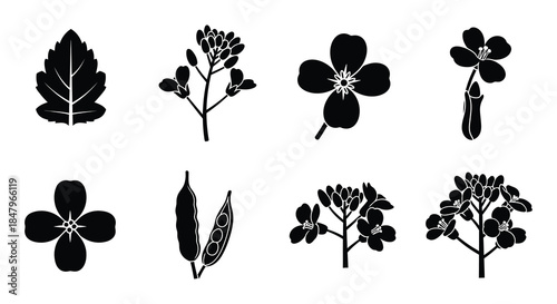 A collection of diverse black silhouette floral and foliage illustrations