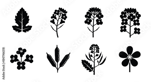 A collection of diverse black silhouette floral and foliage illustrations