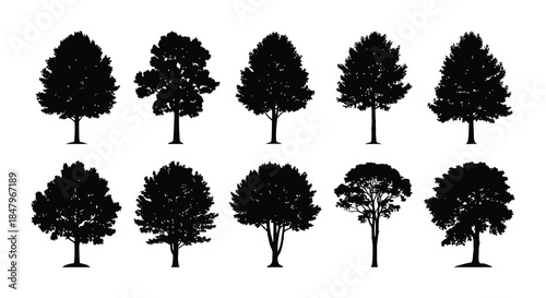 Silhouettes of various trees against a plain white background illustration