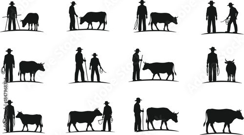 Western cowboy and cattle silhouettes set, rancher farm scenes, livestock handling poses, rural agriculture lifestyle illustration, black vector icons collection