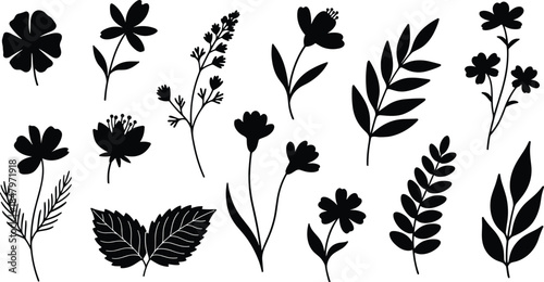 botanical, flower, leaf, silhouette, foliage, plant, bloom, nature, black, minimal, elegant, graphic, design, pattern, decorative, floral, stem, petal, vector, cad drawing flat vector illustration