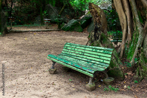 Fototapeta Naklejka Na Ścianę i Meble -  bench in the park