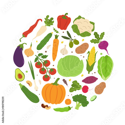 Fresh vegetables and organic food for vegan. Cooking or healthy kitchen with salad ingredient and farm harvest. Vector set in circle assortment with garden carrot and tomato, avocado and pepper