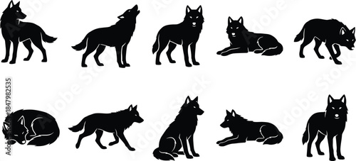 Wolf silhouette set in multiple poses isolated on white background for wildlife illustration, logo design, nature graphics, and branding projects