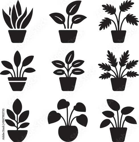 House plants, indoor garden, potted plant, monstera leaf, decorative foliage, botanical nature, home decor, snake plant, succulent pot, vector silhouette