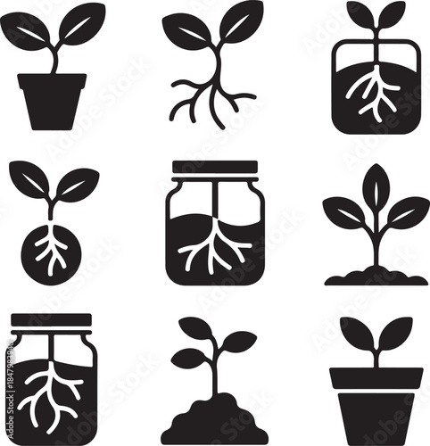 Seedling growth, plant roots, germination process, sprout soil, botanical life, biology cycle, agriculture seeds, water propagation, nature development, vector set