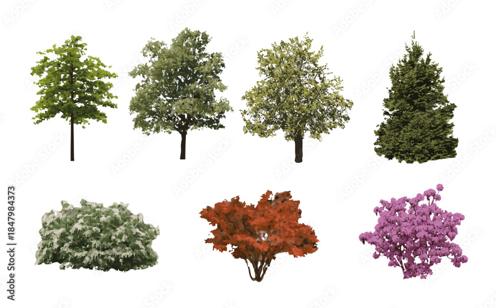 Fototapeta premium Set of vector trees and bushes in elevation view for use in architectural drawings