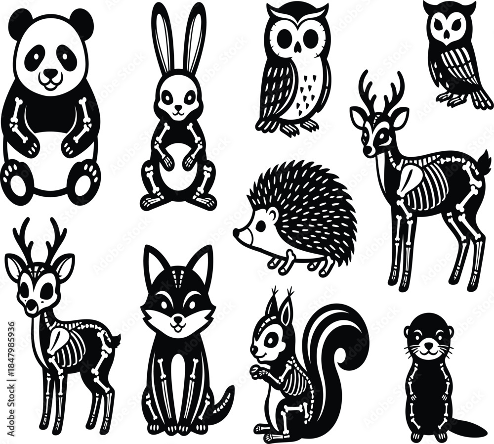 Obraz premium A charming black and white illustration featuring various animals and their skeletal forms showcasing a unique contrast in nature