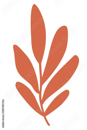 Abstract organic leaf shape illustration element